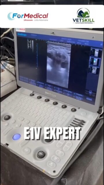 Parceria aula prática com a equipe da @vetskill.br . Curso de Imersão em Reprodução Equina.

Os equipamentos utilizados nas aulas práticas foram o 
✅ E1V Expert
✅ DM20v 
✅ SonoEye
:
Para mais informações sobre nossos equipamentos, clique no link da Bio 👆
:
#haras #equinos #medvet